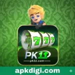 pk11 game apk logo