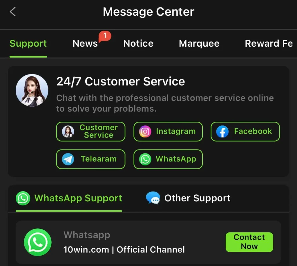 10Win customer support chat screen