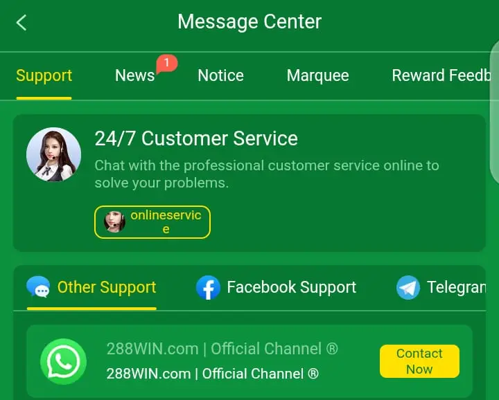 288win customer support