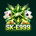 sk-e999-logo