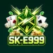 sk-e999-logo