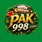 PAK998.COM OFFICIAL LOGO